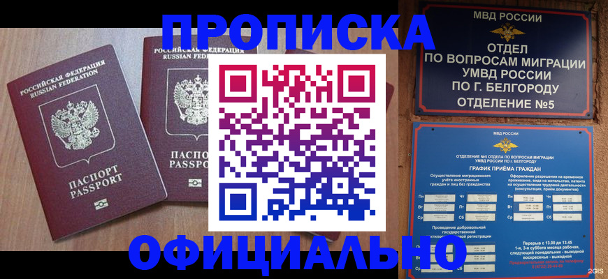 найти адрес прописки в Вышнем Волочке